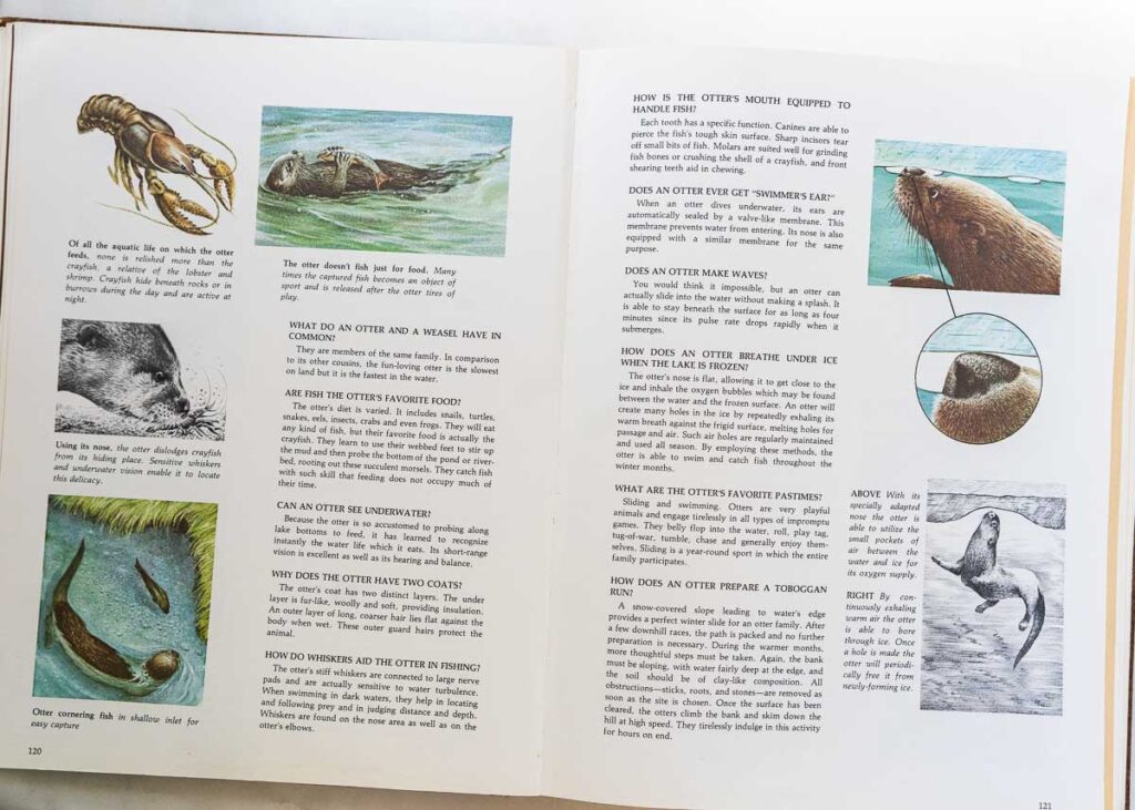 Character Sketches Book for a Homeschool Morning Basket